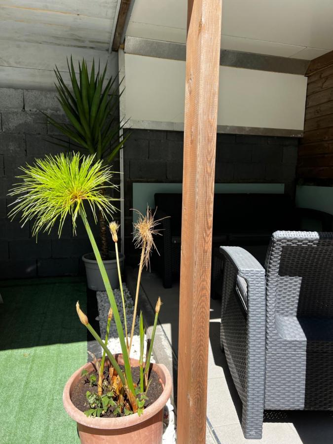 L'Amethyste - Bungalow De Charme Cilaos Zewnętrze zdjęcie
